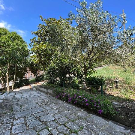 B&B Il Borgo Matrice Bagian luar foto