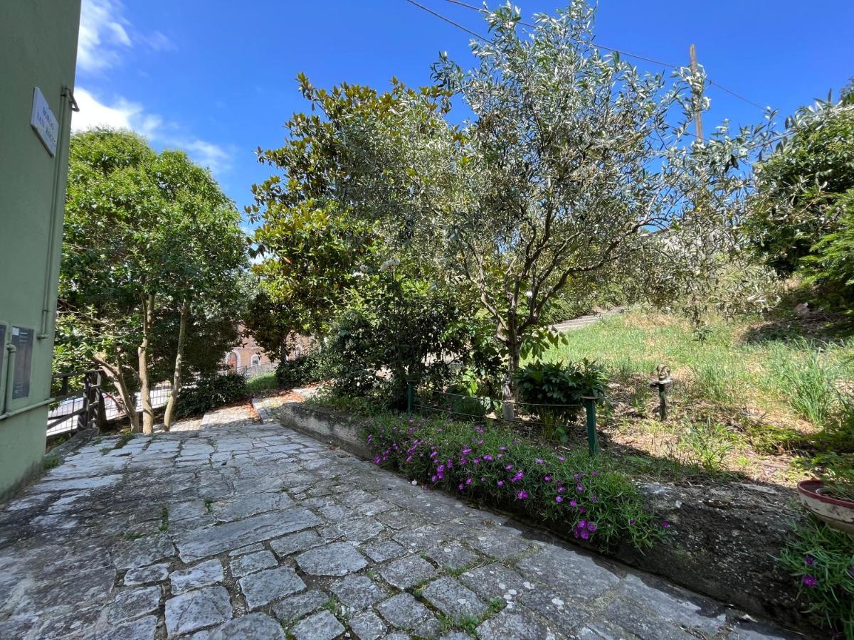 B&B Il Borgo Matrice Bagian luar foto